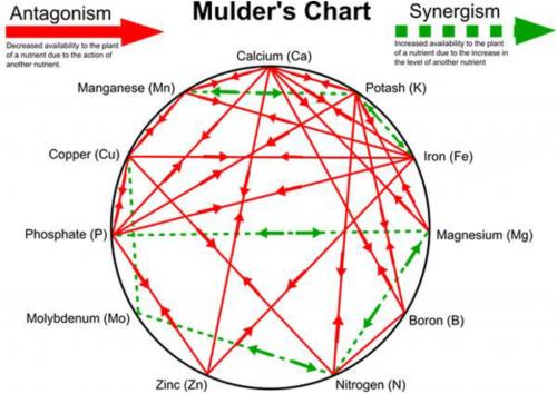 more reasons for soil testing msu extension mulder s chart of nutrient interaction